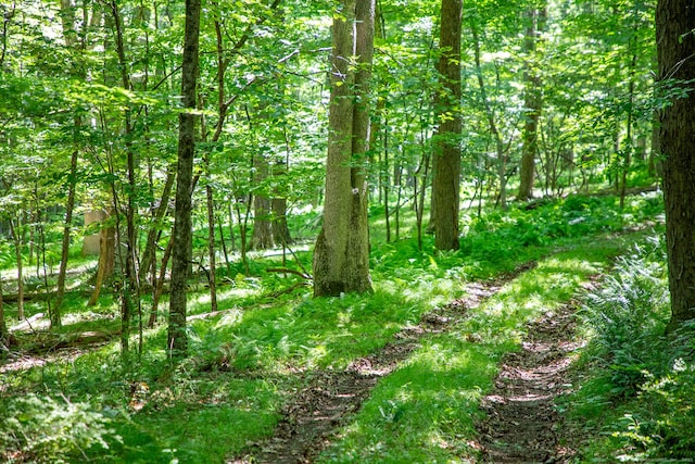 Under Mountain Rd, Salisbury, CT 06068