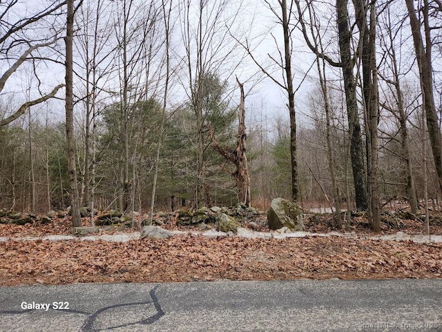 Platt Hill Rd, Winchester CT, 06098 land for sale