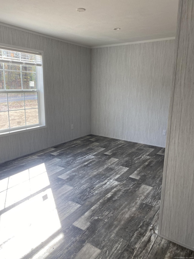 spare room featuring dark wood-style floors