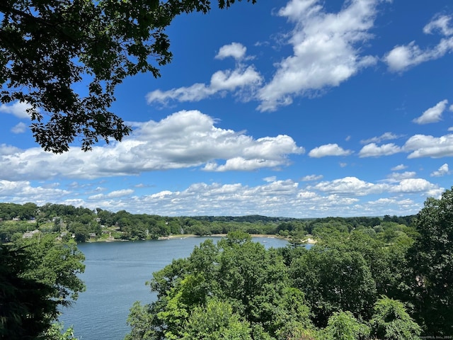 water view with a view of trees