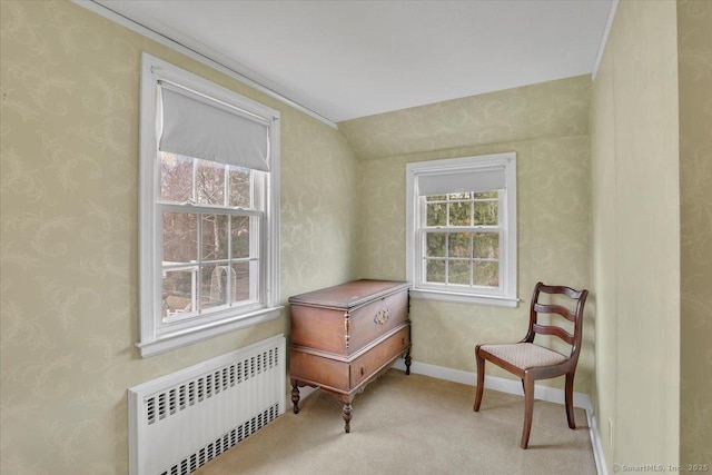 sitting room with baseboards, carpet, radiator heating unit, and wallpapered walls