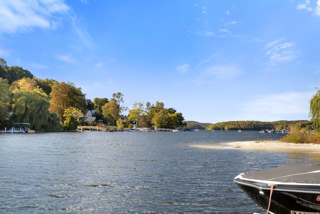 dock area with a water view