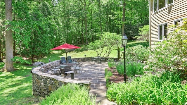 view of yard featuring a patio