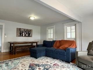 living area featuring wood finished floors