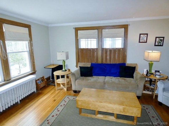 living room with ornamental molding, radiator, and wood finished floors