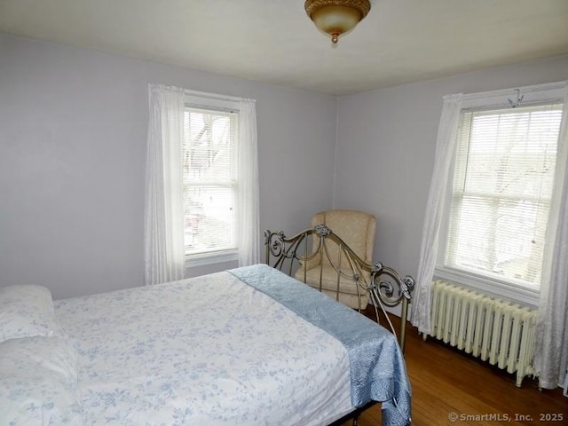 bedroom featuring multiple windows, radiator, and wood finished floors