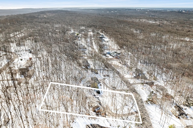 snowy aerial view with a mountain view