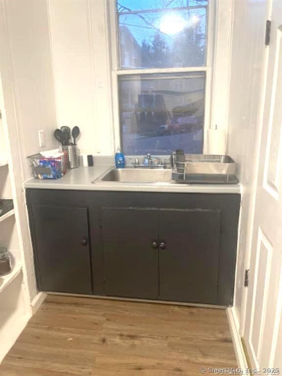 interior space featuring vanity and wood finished floors