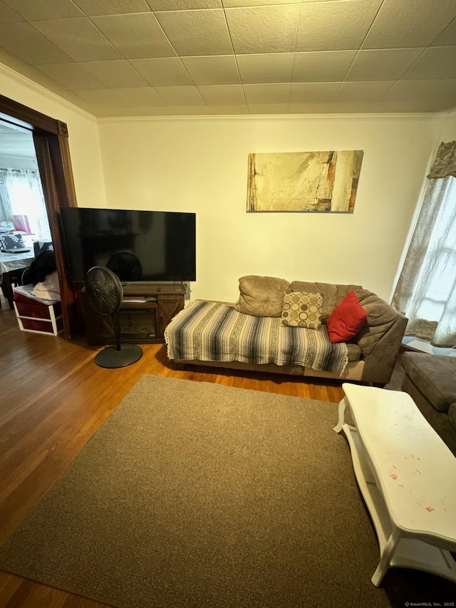 living room featuring crown molding and wood finished floors