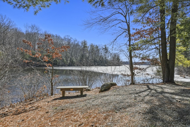 view of yard featuring a water view and a wooded view