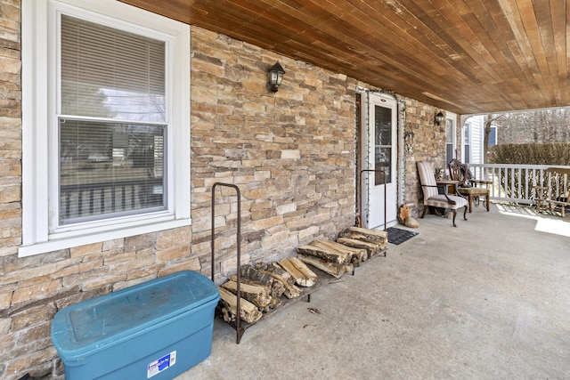 view of patio / terrace with a porch