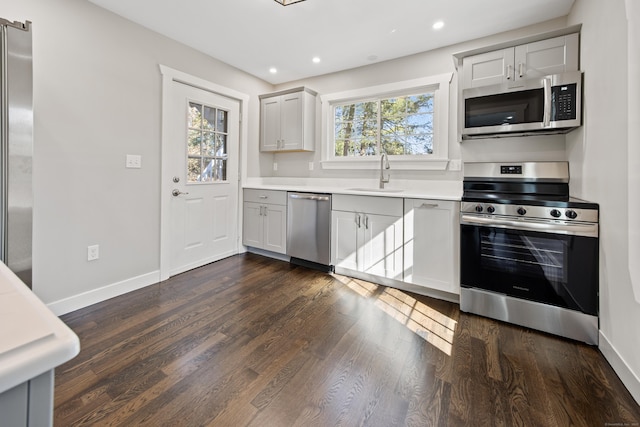 kitchen featuring a sink, dark wood-style floors, baseboards, and stainless steel appliances