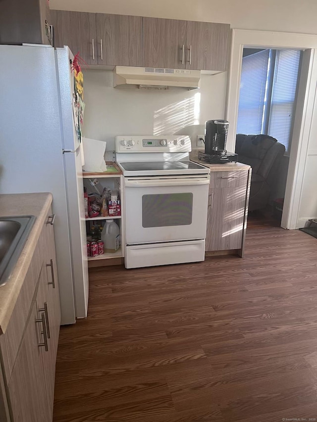 kitchen with dark wood-type flooring, under cabinet range hood, a sink, white appliances, and light countertops