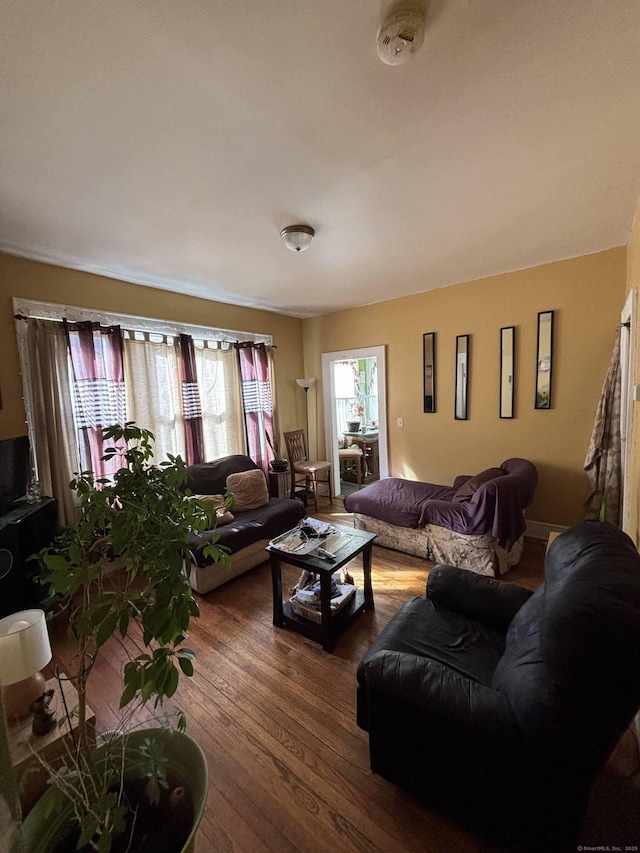 living area featuring hardwood / wood-style flooring