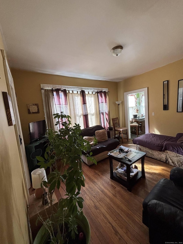 living room featuring wood finished floors