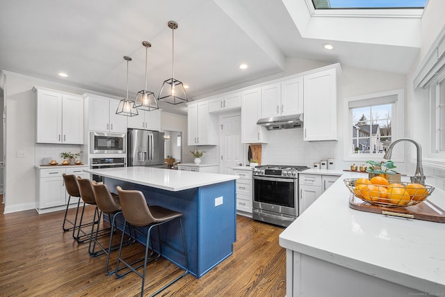 kitchen with under cabinet range hood, a kitchen breakfast bar, a kitchen island, appliances with stainless steel finishes, and dark wood-style flooring