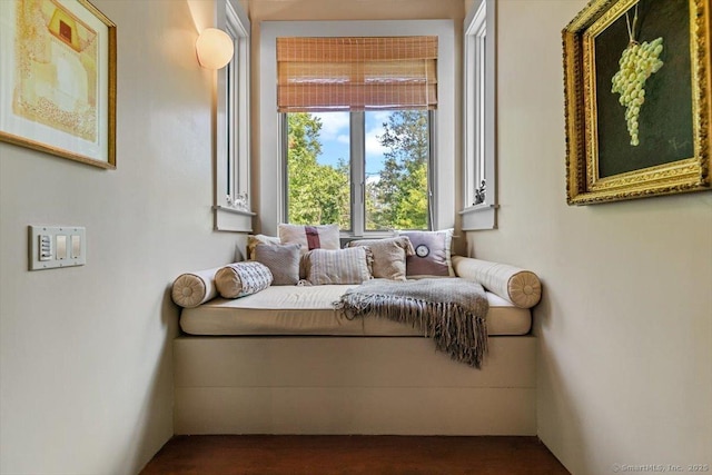 sitting room with dark wood-style floors