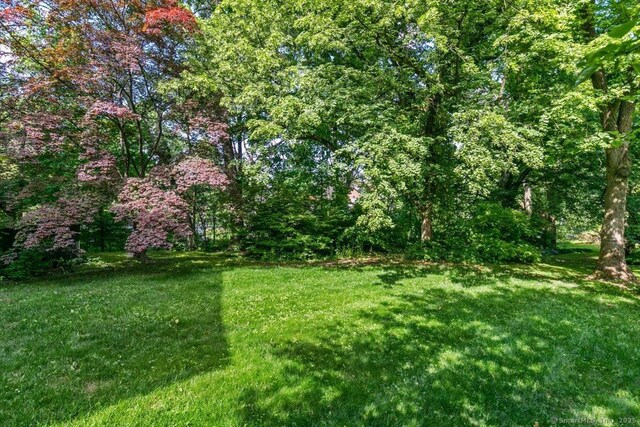 view of yard with a forest view