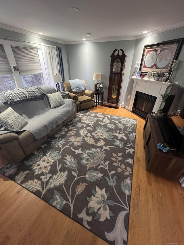 living room featuring wood finished floors, a fireplace, and crown molding