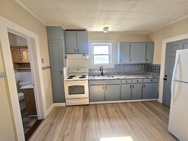 kitchen with gray cabinetry, under cabinet range hood, light wood-style floors, white appliances, and a sink