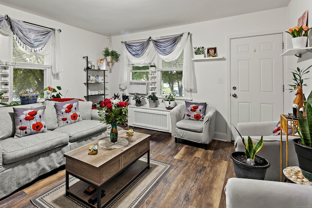 living room with plenty of natural light, radiator, and wood finished floors