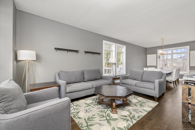 living area featuring dark wood finished floors and a wealth of natural light