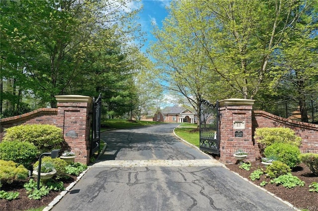 view of street featuring driveway and a gate