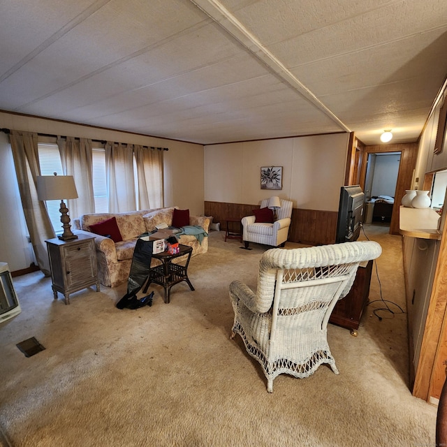 living room featuring a wainscoted wall, carpet flooring, and wooden walls