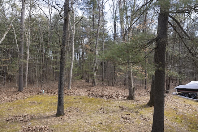 view of yard with a wooded view