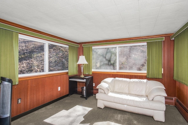 living room featuring a baseboard heating unit, wooden walls, and a healthy amount of sunlight