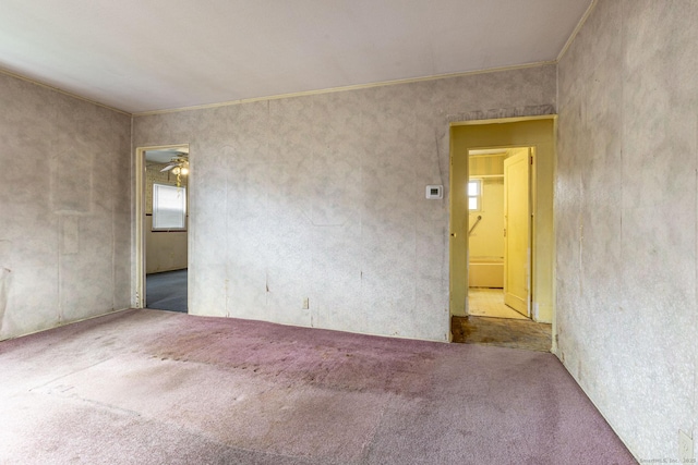 spare room with carpet flooring and ornamental molding