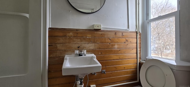 bathroom featuring a sink and toilet