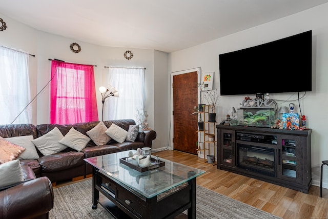 living room with baseboards and wood finished floors