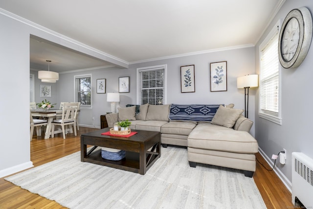 living area with radiator, crown molding, and wood finished floors