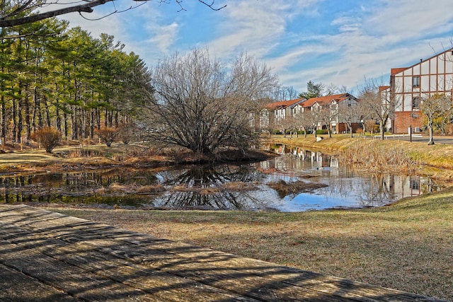 view of water feature