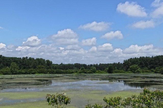 view of water feature with a forest view