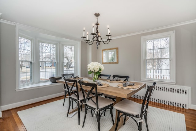 dining room with a wealth of natural light, wood finished floors, radiator heating unit, and ornamental molding