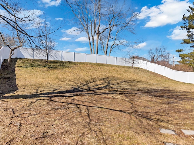 view of yard with a fenced backyard