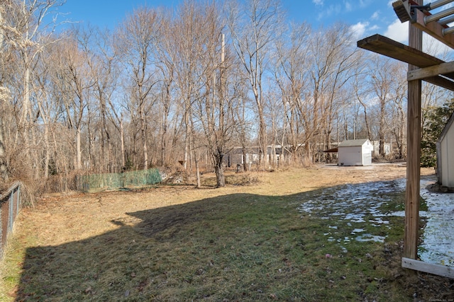 view of yard with a storage shed, an outdoor structure, and fence