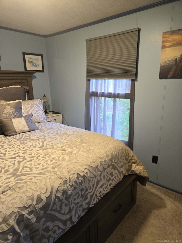 301 Buddington Rd Lot 49, Groton, CT 06340 - bedroom featuring carpet and crown molding
