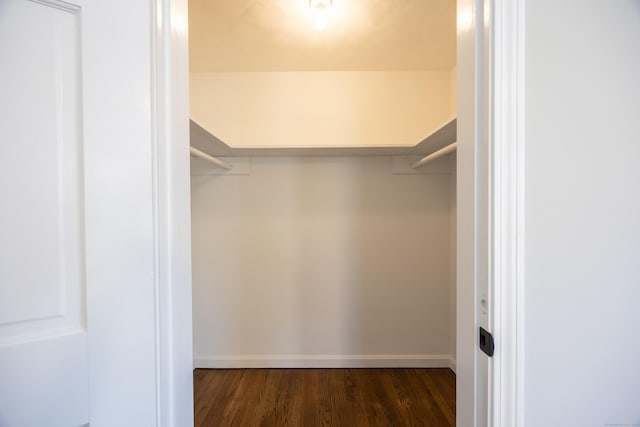 walk in closet featuring wood finished floors