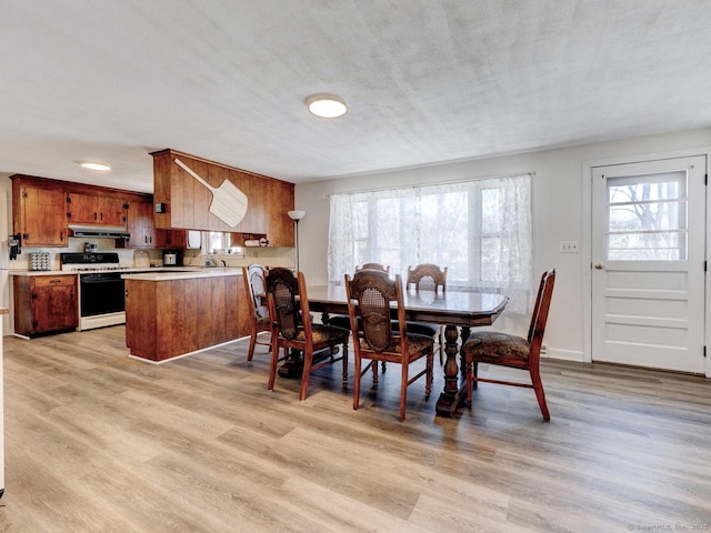 dining area featuring baseboards, light wood finished floors, and a textured ceiling