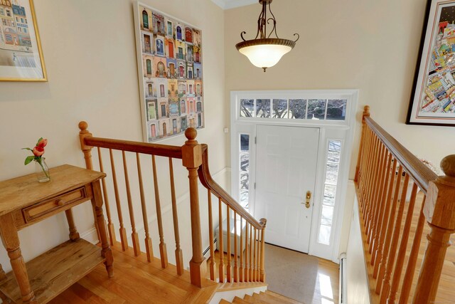 entrance foyer featuring wood finished floors