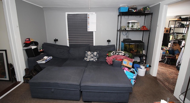 view of carpeted living area