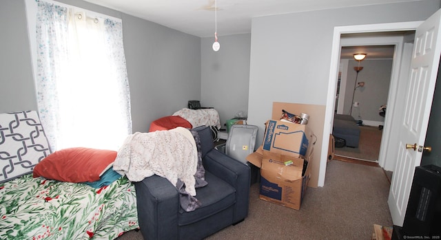 sitting room featuring carpet floors