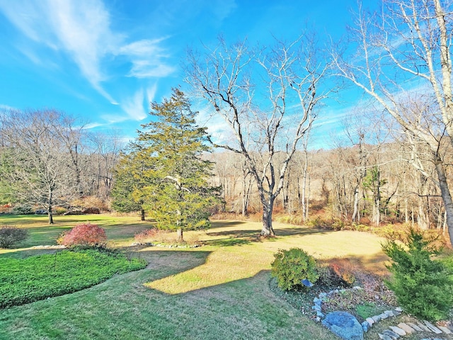 surrounding community featuring a yard and a wooded view