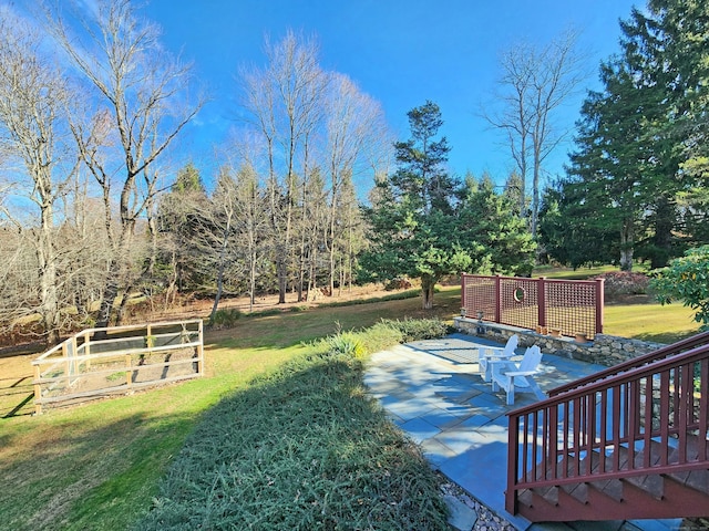 view of yard featuring a patio and a vegetable garden