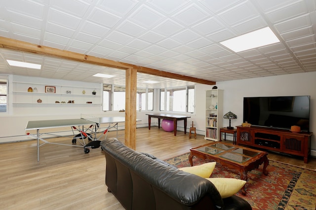 living area featuring wood finished floors and a baseboard radiator