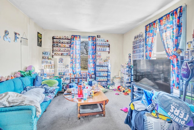 view of carpeted living area