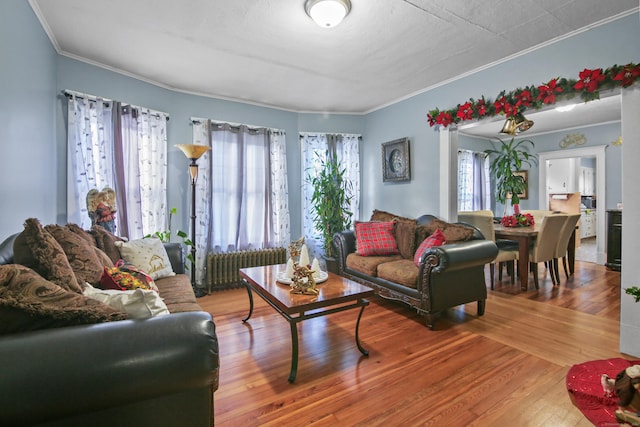 living area with a wealth of natural light, wood finished floors, radiator heating unit, and ornamental molding